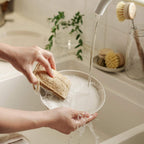 Sustainable Dish Brushes | 4 Piece Starter Set w/ Loofah Sponge-4